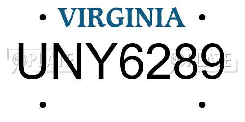 UNY6289 Virginia License Plate