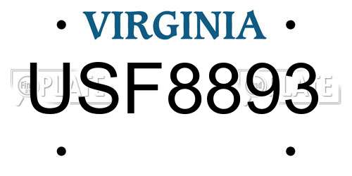 USF8893 Virginia License Plate