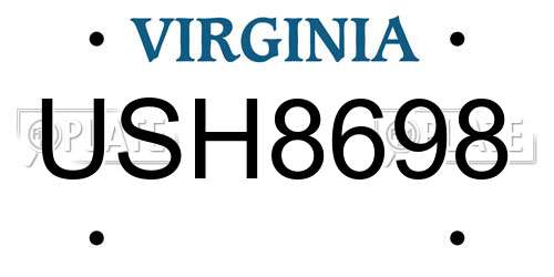 USH8698 Virginia License Plate