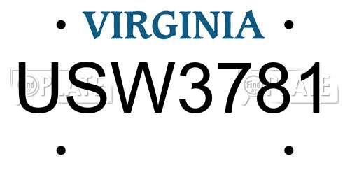 USW3781 Virginia License Plate