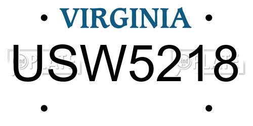 USW5218 Virginia License Plate
