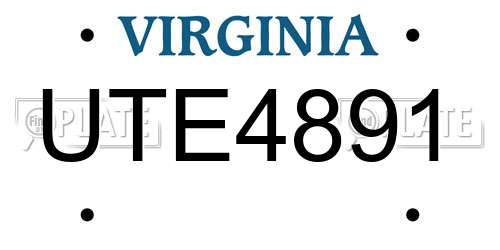 UTE4891 Virginia License Plate