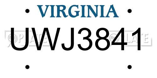 UWJ3841 Virginia License Plate