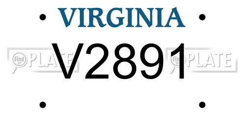 V2891 Virginia License Plate