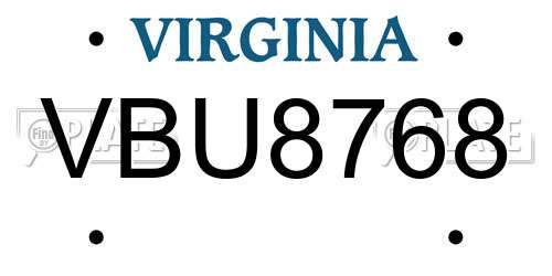 VBU8768 Virginia License Plate