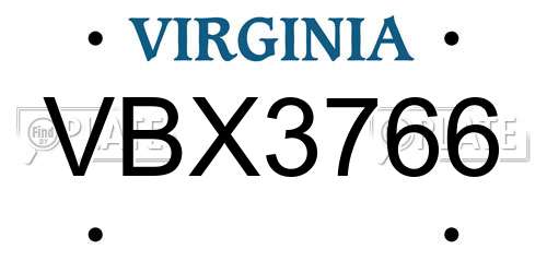 VBX3766 Virginia License Plate