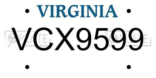 VCX9599 Virginia License Plate