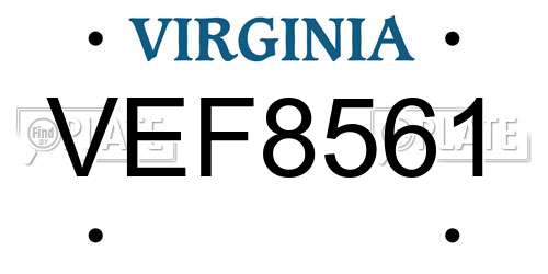 VEF8561 Virginia License Plate