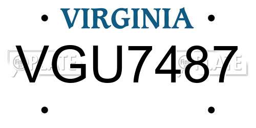 VGU7487 Virginia License Plate