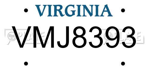 VMJ8393 Virginia License Plate