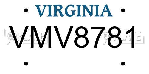 VMV8781 Virginia License Plate