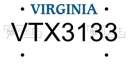 VTX3133 Virginia License Plate