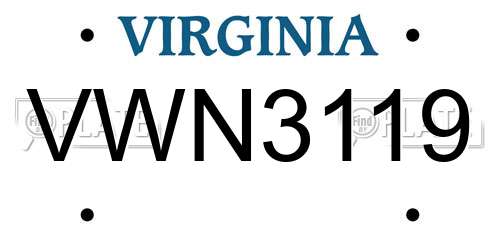 VWN3119 Virginia License Plate