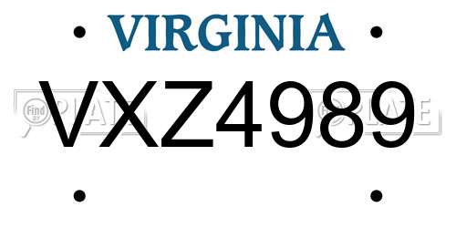 VXZ4989 Virginia License Plate