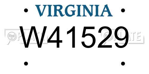 W41529 Virginia License Plate