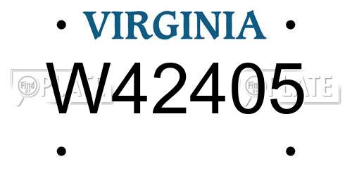 W42405 Virginia License Plate