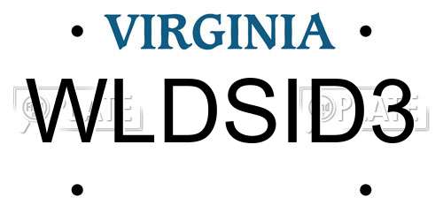 WLDSID3 Virginia License Plate