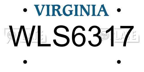 WLS6317 Virginia License Plate