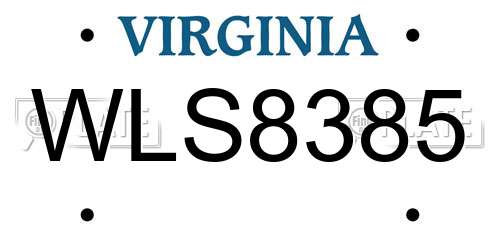 WLS8385 Virginia License Plate