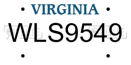 WLS9549 Virginia License Plate