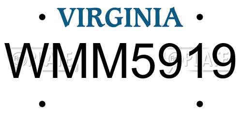 WMM5919 Virginia License Plate