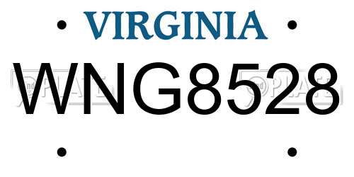 WNG8528 Virginia License Plate