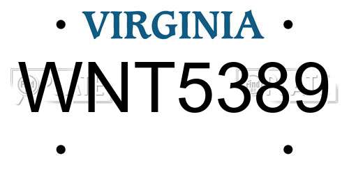 WNT5389 Virginia License Plate