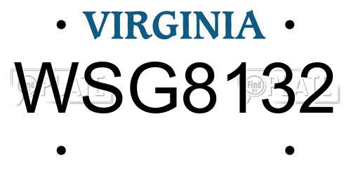 WSG8132 Virginia License Plate