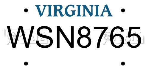 WSN8765 Virginia License Plate