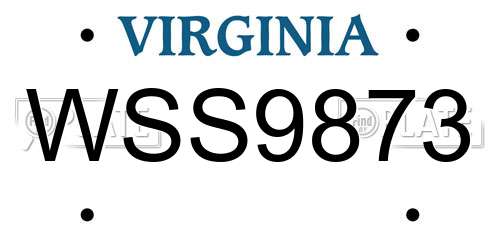 WSS9873 Virginia License Plate