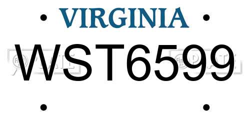 WST6599 Virginia License Plate