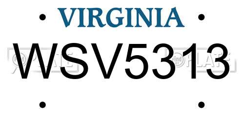 WSV5313 Virginia License Plate