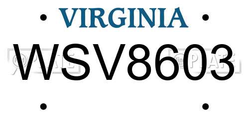 WSV8603 Virginia License Plate