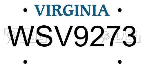 WSV9273 Virginia License Plate