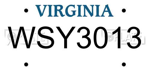 WSY3013 Virginia License Plate