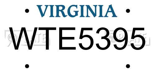 WTE5395 Virginia License Plate