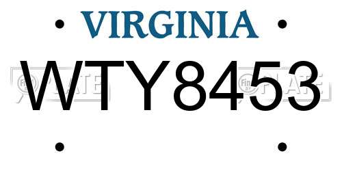 WTY8453 Virginia License Plate
