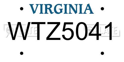 WTZ5041 Virginia License Plate