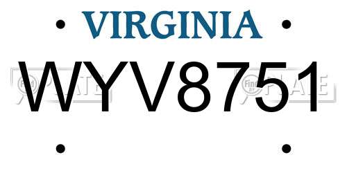 WYV8751 Virginia License Plate