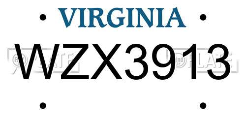 WZX3913 Virginia License Plate