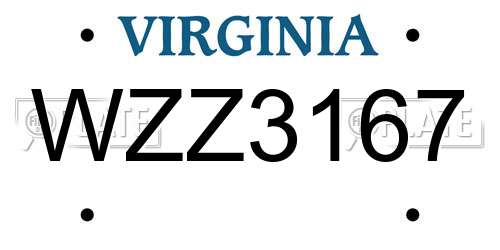 WZZ3167 Virginia License Plate
