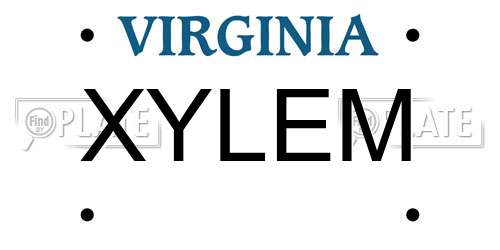 XYLEM Virginia License Plate