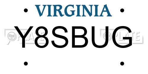 Y8SBUG Virginia License Plate