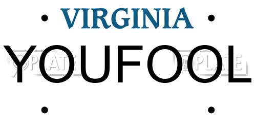 YOUFOOL Virginia License Plate