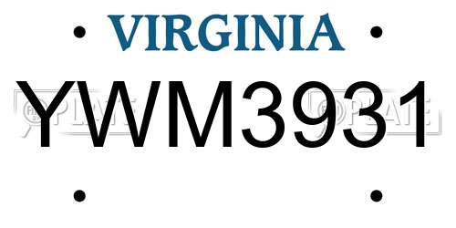 YWM3931 Virginia License Plate