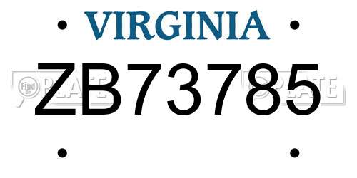 ZB73785 Virginia License Plate