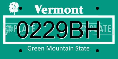 0229BH Vermont License Plate