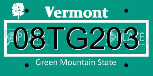 08TG203 Vermont License Plate
