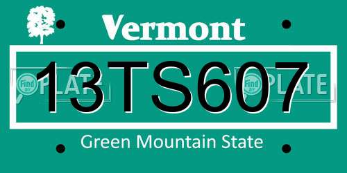 13TS607 Vermont License Plate