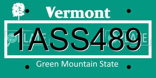 1ASS489 Vermont License Plate